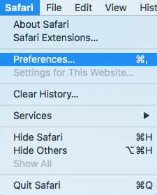 Safari Setting2